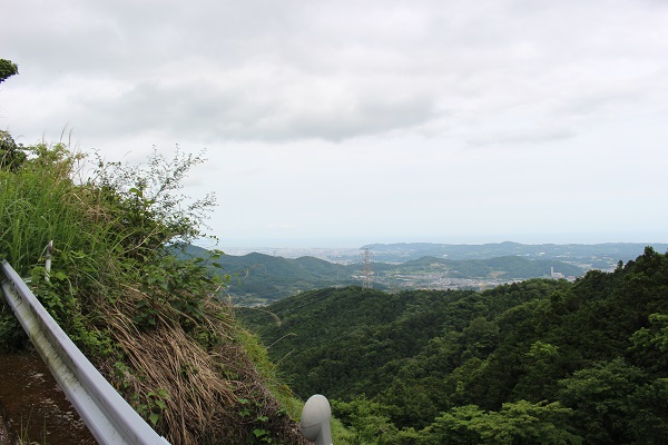 IMG_3555(2)